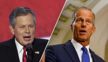 Trump privately backed John Thune in tight leader race: Sen Steve Daines