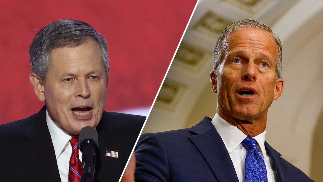 Trump privately backed John Thune in tight leader race: Sen Steve Daines