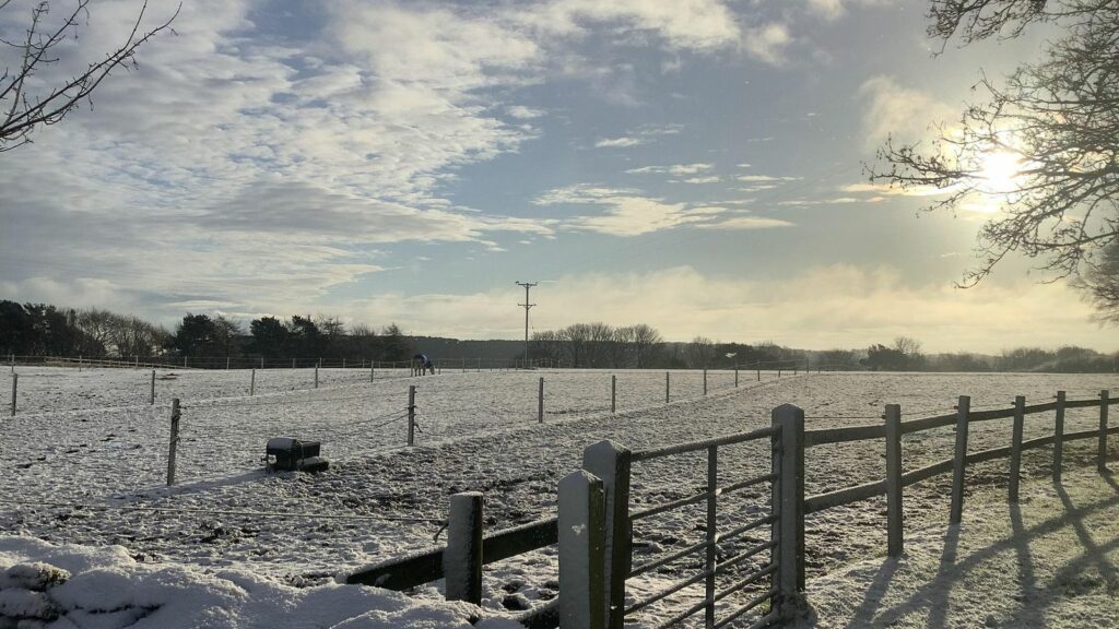 Snow in Suffield, Hackness in Scarborough