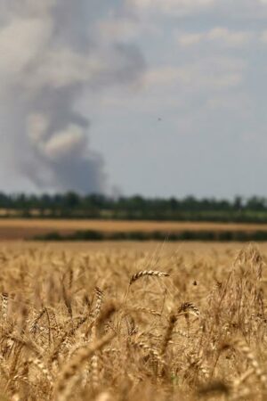 Les images satellite révèlent les répercussions de la guerre sur la production de blé en Ukraine