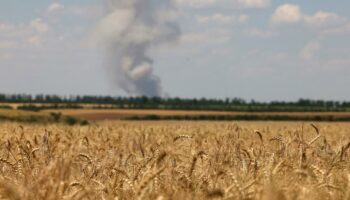 Les images satellite révèlent les répercussions de la guerre sur la production de blé en Ukraine