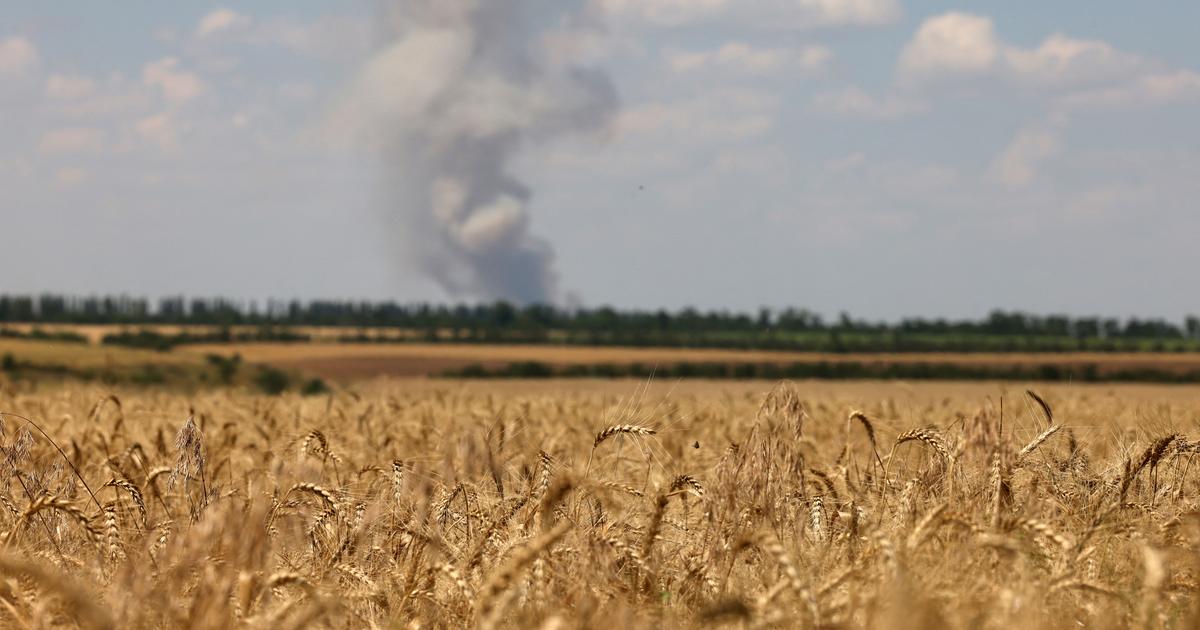 Les images satellite révèlent les répercussions de la guerre sur la production de blé en Ukraine