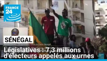 Législatives au Sénégal : 7,3 millions d'électeurs appelés aux urnes