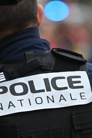 Un policier gravement blessé à la hachette dans l'Essonne, cinq personnes interpellées