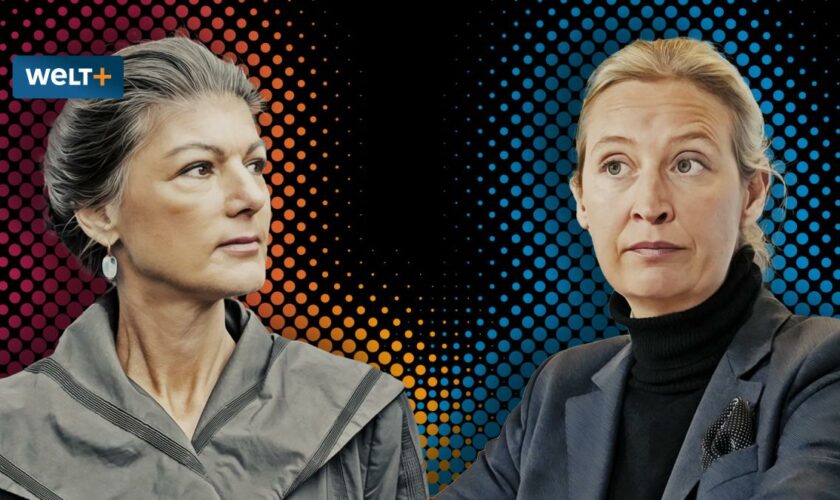 „Gemeinsame Wagenknecht-Weidel-Fangemeinschaft stellt uns vor komplizierte Situation“