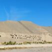 REPORTAGE. "Quand la tempête de sable arrive, on ferme les grottes" : en Chine, dans le désert de Gobi, les autorités tentent de protéger un patrimoine millénaire