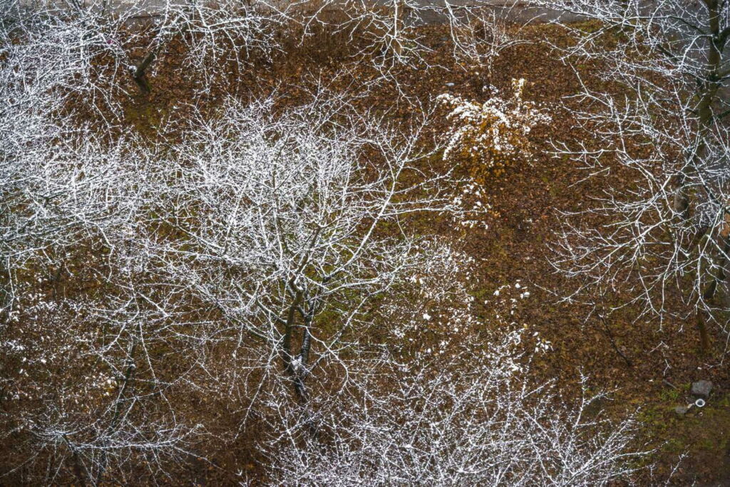 Météo : la neige fait son retour en basse altitude