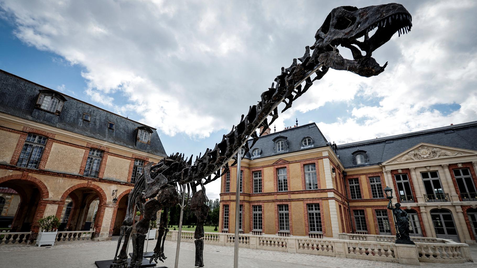 « Vulcain », le plus grand dinosaure jamais présenté aux enchères, s’est vendu à plusieurs millions d’euros