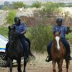 "Ils n'ont pas à manger, pas à boire" : en Afrique du Sud, un bras de fer oppose la police à des mineurs illégaux autour d'une mine qui abriterait de l'or