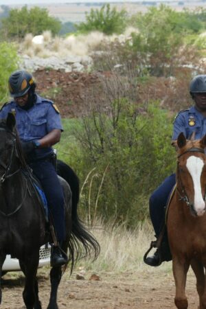 "Ils n'ont pas à manger, pas à boire" : en Afrique du Sud, un bras de fer oppose la police à des mineurs illégaux autour d'une mine qui abriterait de l'or