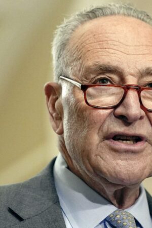 Schumer now pleads for bi-partisanship having promised to railroad Democrat agenda through