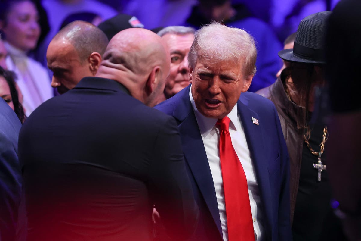 Trump returns to MSG for UFC fight night as he picks oil CEO Chris Wright for energy secretary: Live