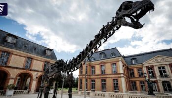 Dinosaurier-Skelett für sechs Millionen Euro versteigert