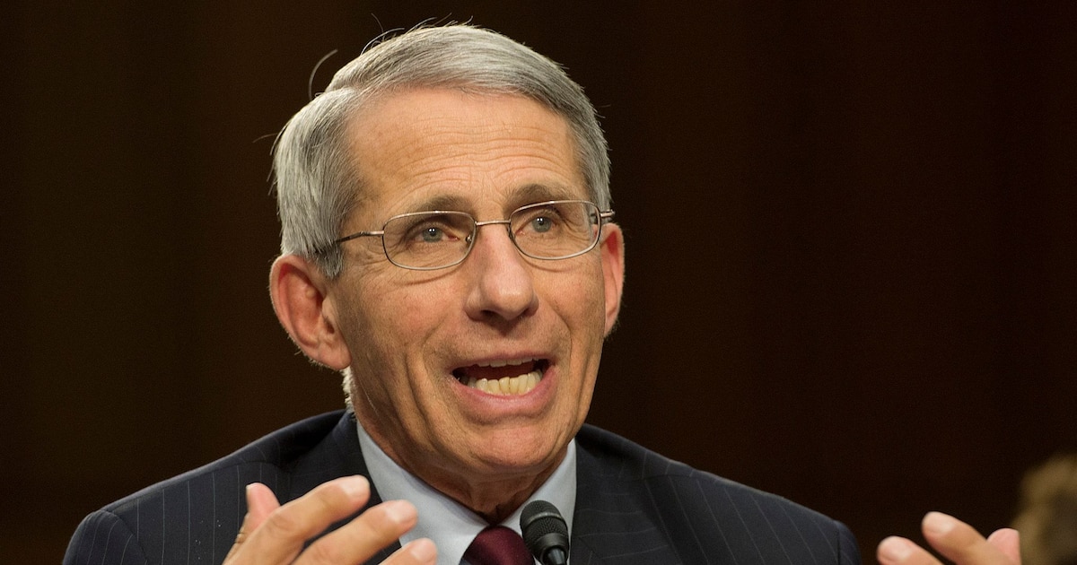 Le Dr Anthony Fauci, directeur de l'Institut national des allergies et des maladies infectieuses (NIAID), à Washington le 16 septembre 2014