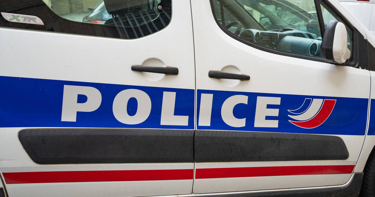 Val-de-Marne : un homme abattu par un policier après avoir «menacé» des agents