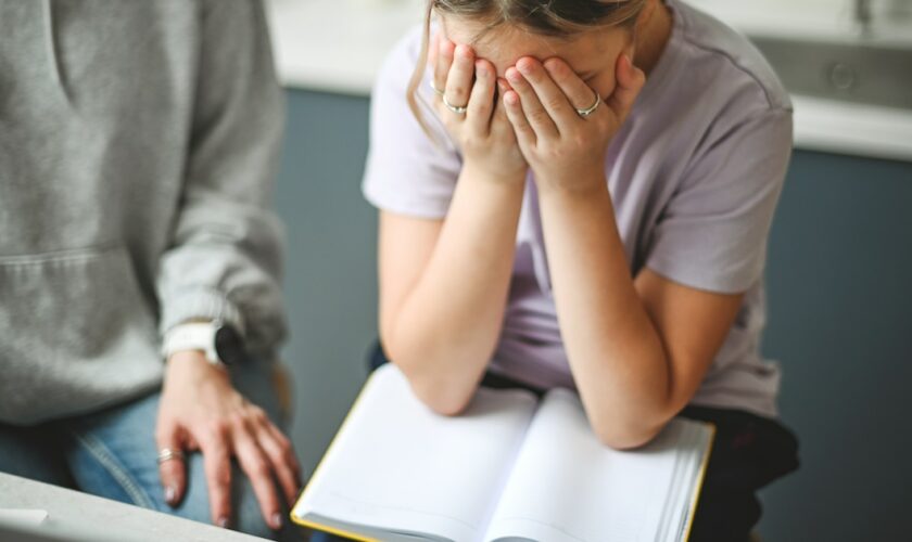 mère et fille faisant leurs devoirs