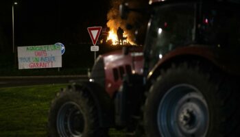 Mobilisation des agriculteurs : à quoi faut-il s’attendre en France à partir de ce dimanche 17 novembre ?