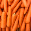 Carrots linked to one death amid E coli outbreak