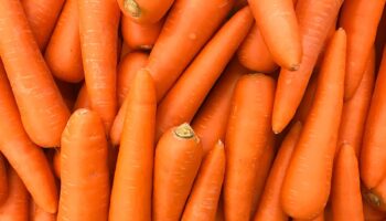 Carrots linked to one death amid E coli outbreak