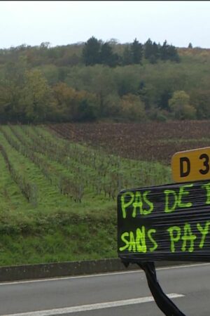 Colère des agriculteurs : l’heure du passage à l’action avec des convois de tracteurs et des blocages