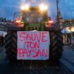 Paysan ou agriculteur ? Comment le premier mot est devenu un objet politique