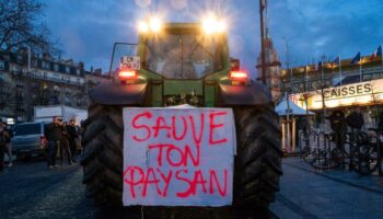 Paysan ou agriculteur ? Comment le premier mot est devenu un objet politique