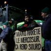 Des agriculteurs manifestent sur la nationale N118 près de Vélizy-Villacoublay (Yvelines) le 17 novembre 2024