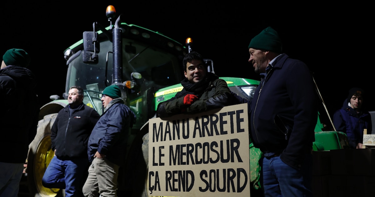 Des agriculteurs manifestent sur la nationale N118 près de Vélizy-Villacoublay (Yvelines) le 17 novembre 2024