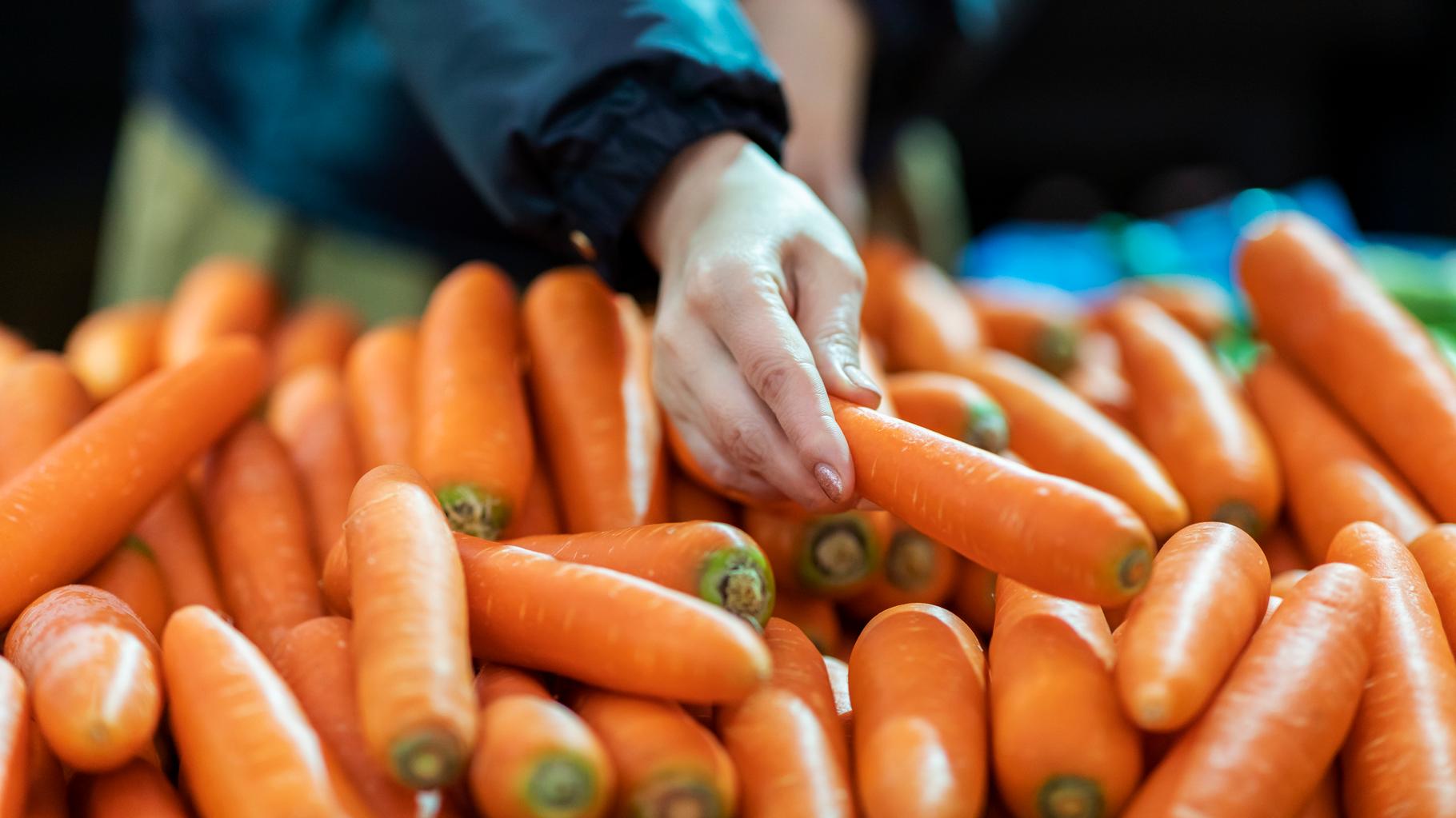 Aux États-Unis, des carottes infectées par E. coli font un mort et des dizaines de malades