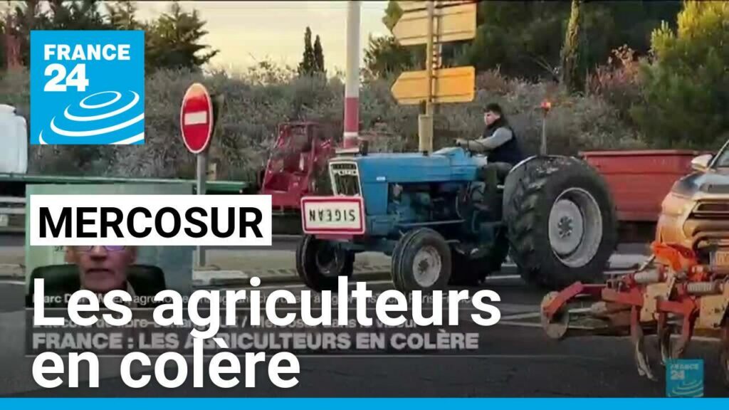 Mercosur : "Nos agriculteurs peuvent être très affectés par les importations à bas prix"