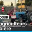 Mercosur : "Nos agriculteurs peuvent être très affectés par les importations à bas prix"