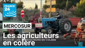 Mercosur : "Nos agriculteurs peuvent être très affectés par les importations à bas prix"