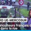 Projet d'accord UE-Mercosur : les agriculteurs français de retour dans la rue