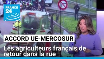 Projet d'accord UE-Mercosur : les agriculteurs français de retour dans la rue