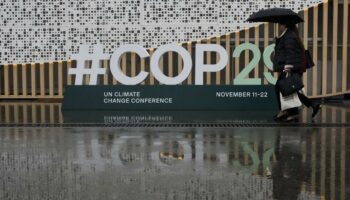 À la COP29, le chef de l’ONU Climat appelle à s’entendre sur la finance climatique