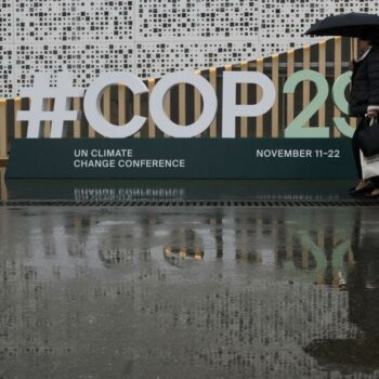 À la COP29, le chef de l’ONU Climat appelle à s’entendre sur la finance climatique