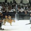 « Gladiator », l’Elvis Presley du Colisée