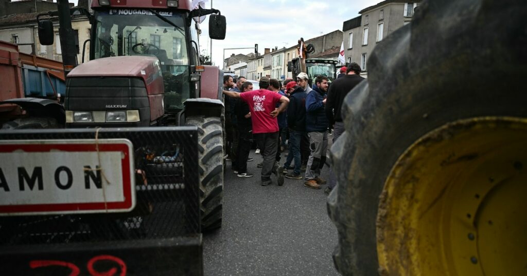 Manifestation d'agriculteurs à Auch, dans le Gers, le 18 novembre 2024