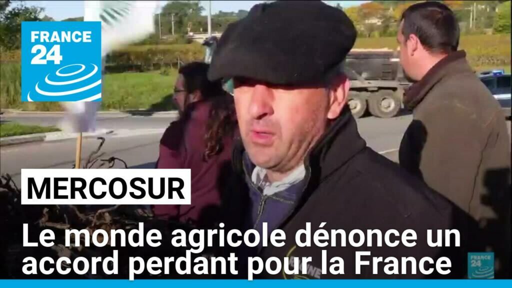 Mercosur : le monde agricole dénonce un accord perdant pour la France