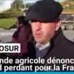 Mercosur : le monde agricole dénonce un accord perdant pour la France