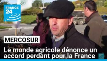 Mercosur : le monde agricole dénonce un accord perdant pour la France