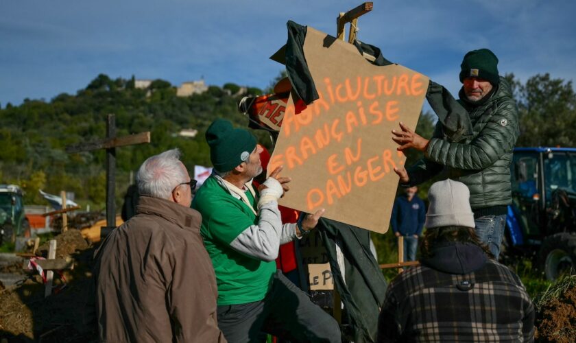 Des agriculteurs placent une réplique de potence avec un message indiquant en français « L'agriculture française en danger » alors qu'ils bloquent une route lors d'une manifestation nationale contre l'accord UE-Mercosur au Cannet-des-Maures, dans le sud de la France, le 18 novembre 2024.