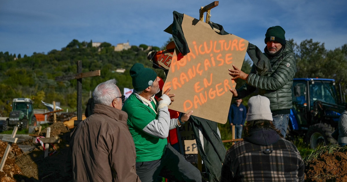 Des agriculteurs placent une réplique de potence avec un message indiquant en français « L'agriculture française en danger » alors qu'ils bloquent une route lors d'une manifestation nationale contre l'accord UE-Mercosur au Cannet-des-Maures, dans le sud de la France, le 18 novembre 2024.