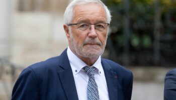 François Rebsamen va renoncer à son poste de maire de Dijon