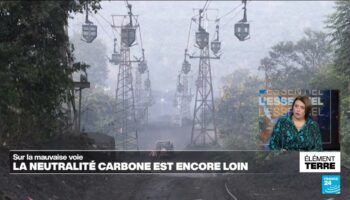 COP29: La neutralité carbone est encore loin