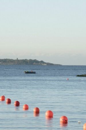 L'Allemagne et la Finlande "profondément préoccupées" après la rupture d'un câble sous-marin reliant les deux pays