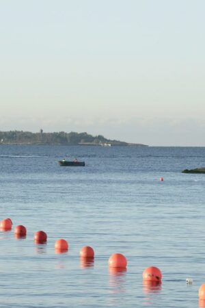 Ostsee: Unterseekabel zwischen Finnland und Deutschland beschädigt