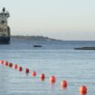 Ermittlungen nach Ausfall von Glasfaserkabel durch Ostsee