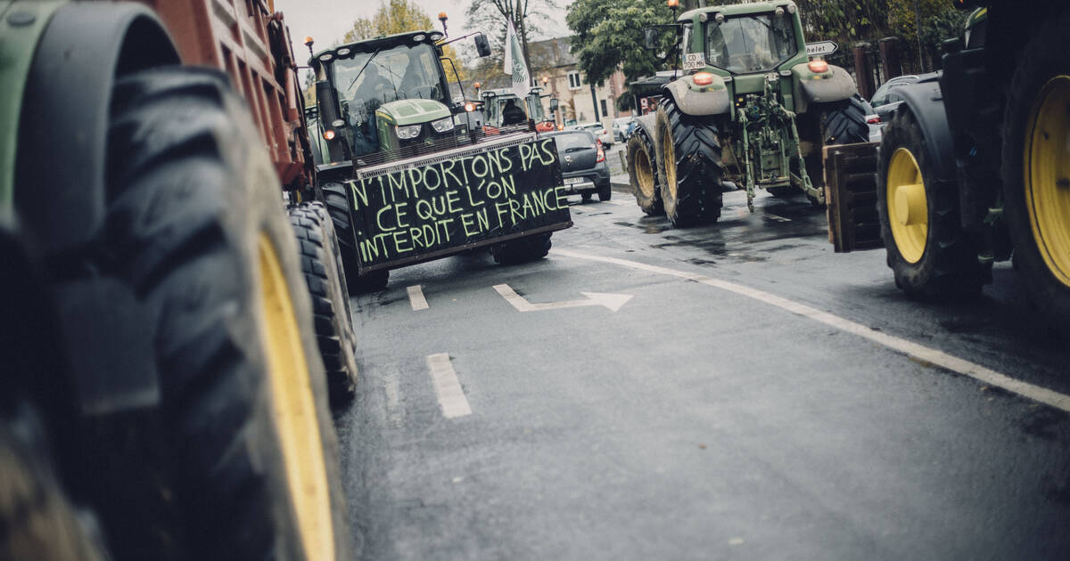 Colère des agriculteurs, remboursement des médicaments, COP 29… L’actu de ce lundi 18 novembre