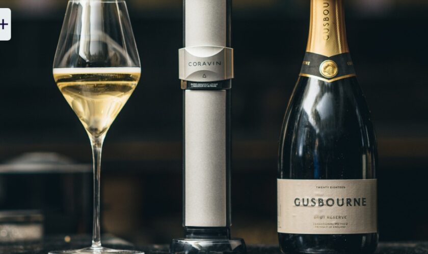 Coravin Sparkling und Timeless im Test